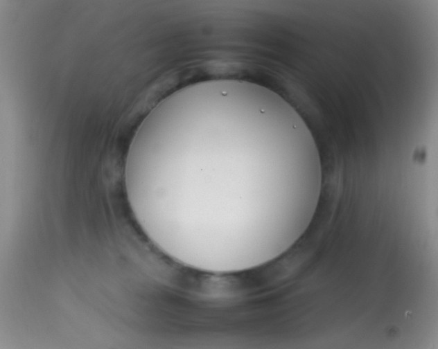 X0000113870277200910151308