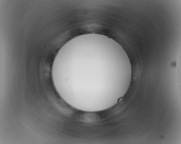 X0000113870279200910151308