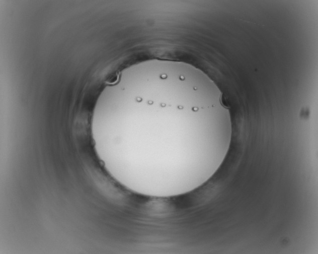 X0000113870280200910151309