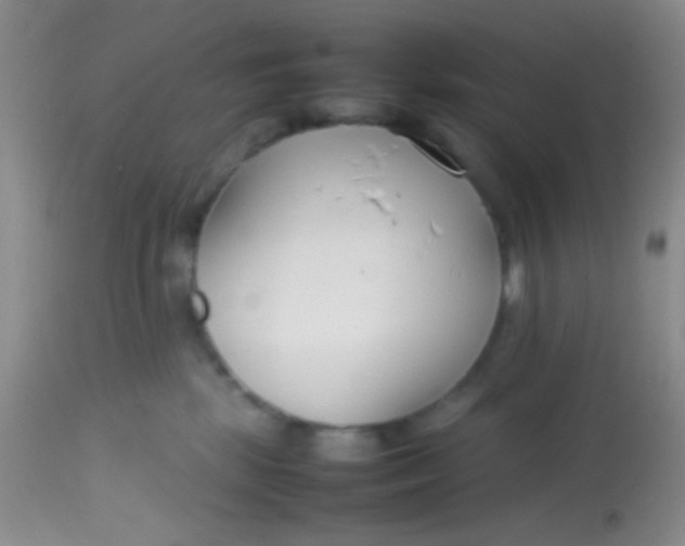 X0000113870281200910151309