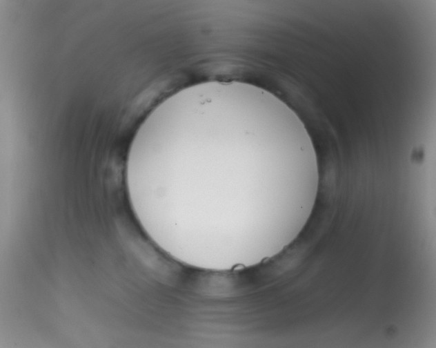 X0000113870282200910151309