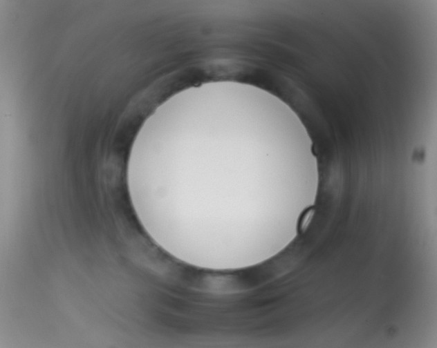 X0000113870283200910151309