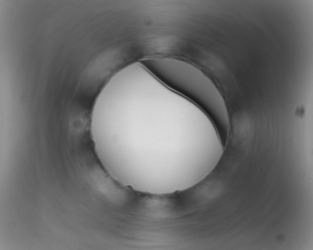 X0000113870284200910151309