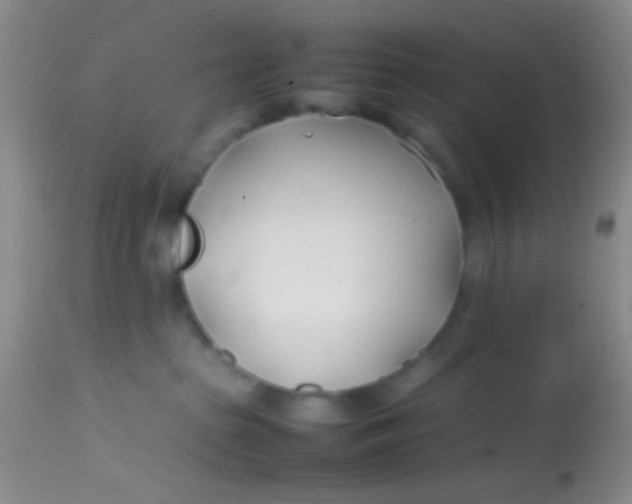 X0000113870285200910151309