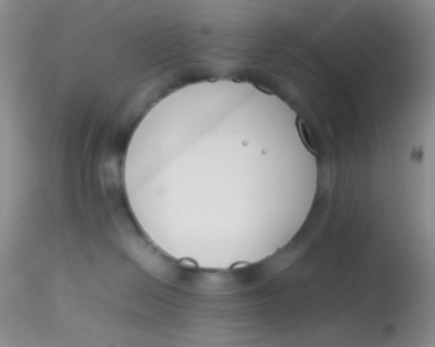 X0000113870286200910151309