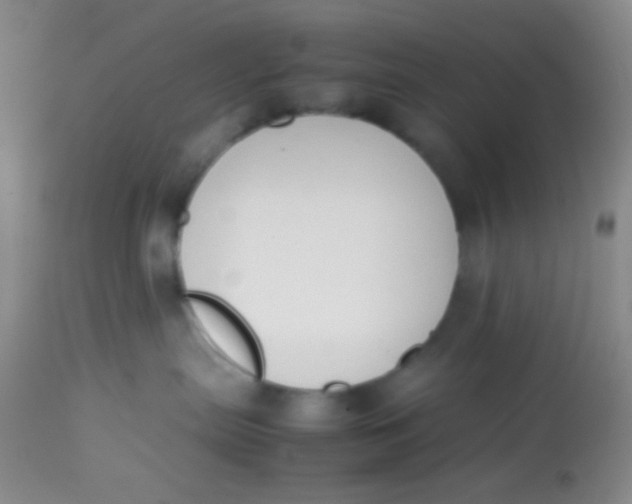 X0000113870287200910151309