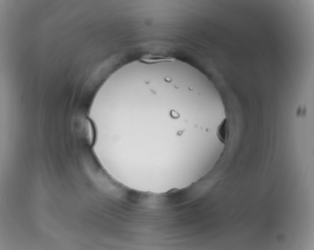 X0000113870288200910151309