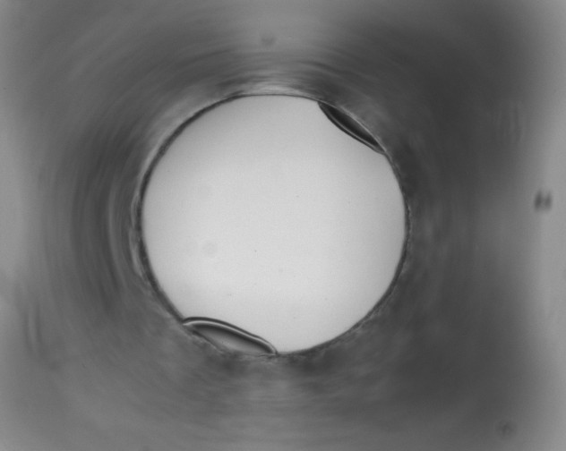 X0000113870289200910151308