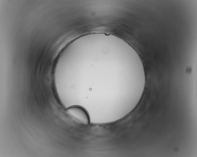 X0000113870290200910151308