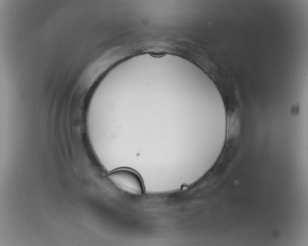 X0000113870291200910151308