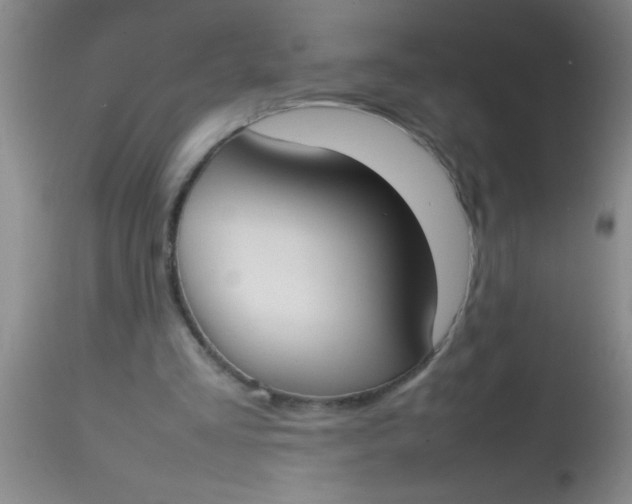 X0000113870293200910151308