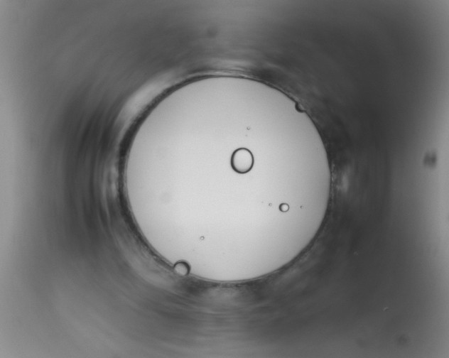 X0000113870294200910151308