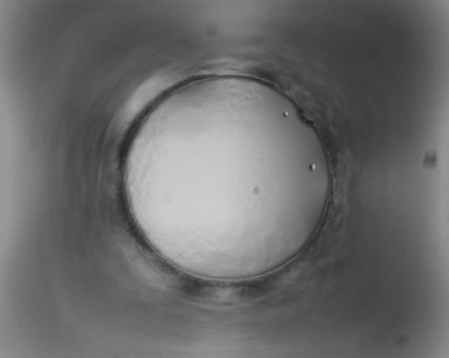 X0000113870295200910151308