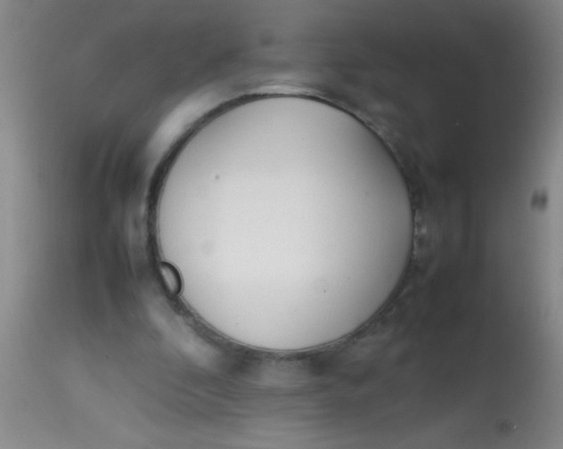 X0000113870296200910151308