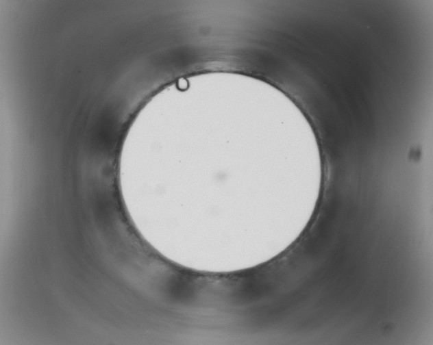 X0000113870297200910151308