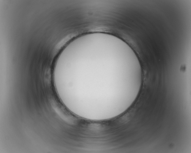 X0000113870298200910151308