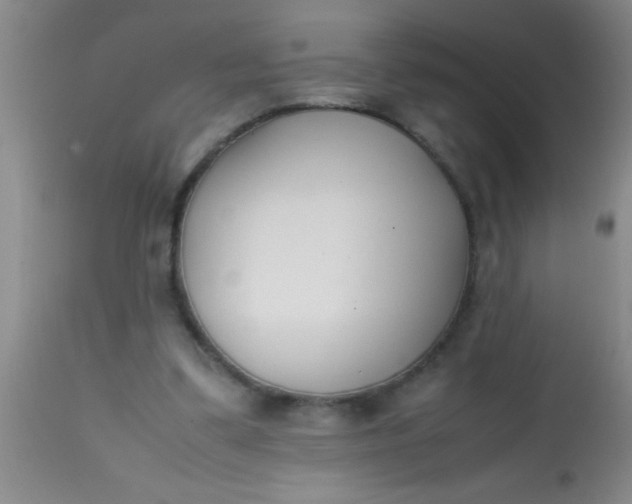 X0000113870299200910151308