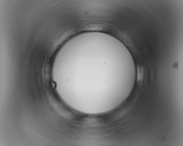 X0000113870300200910151308