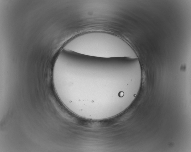 X0000113870301200910151308