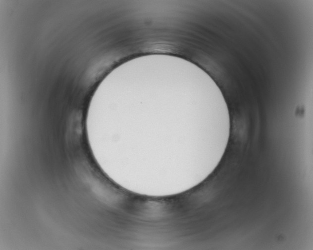 X0000113870302200910151308