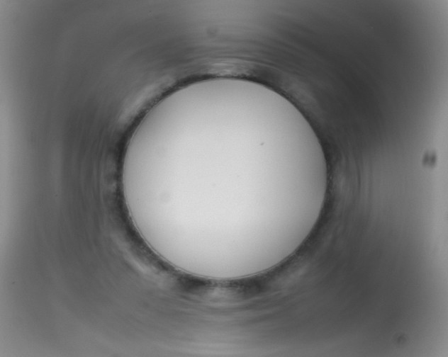 X0000113870303200910151308