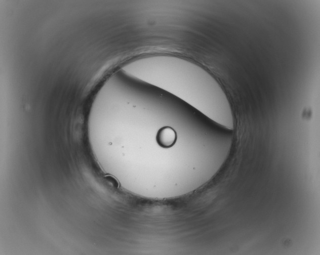 X0000113870304200910151308