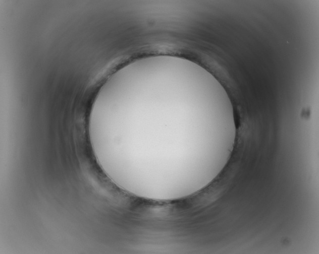 X0000113870306200910151308