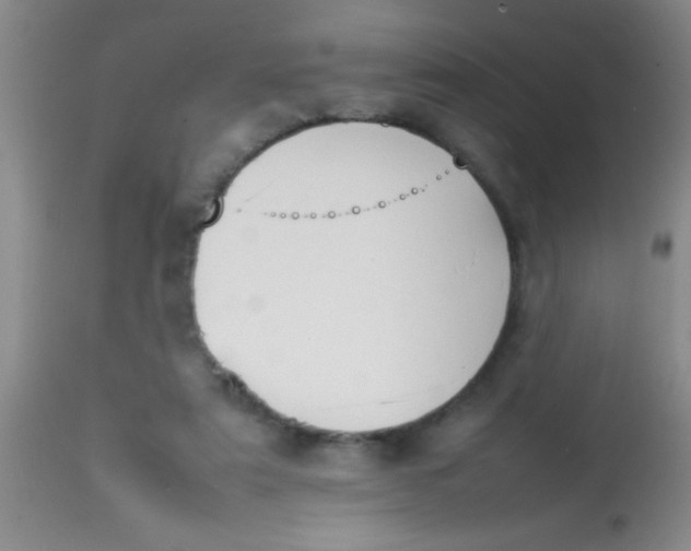 X0000113870307200910151308