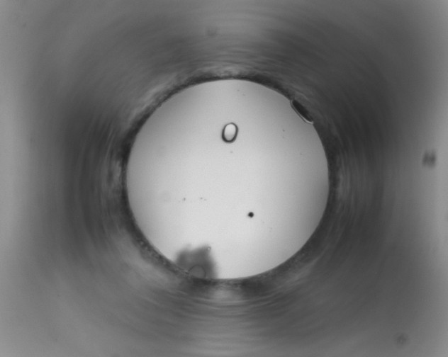 X0000113870308200910151308