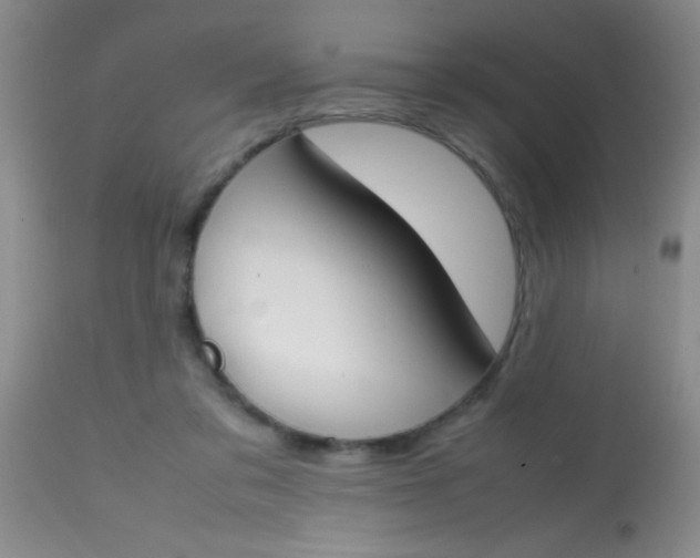 X0000113870309200910151308