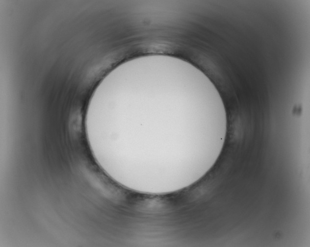 X0000113870310200910151307