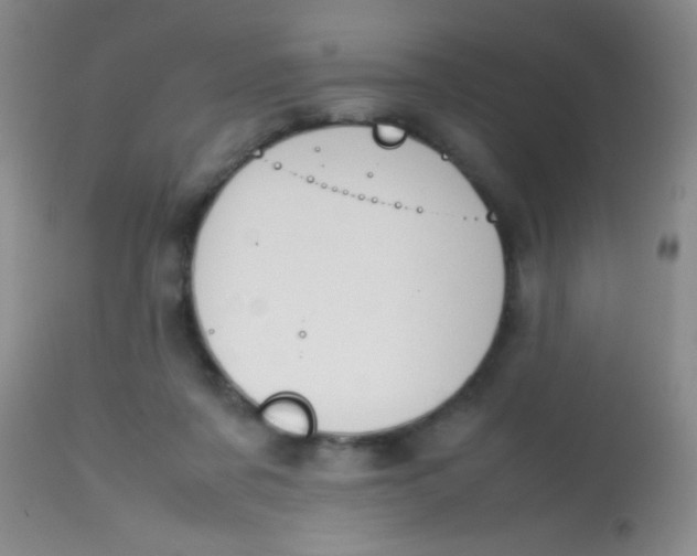 X0000113870311200910151307