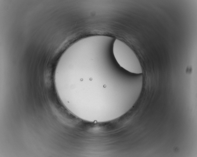 X0000113870312200910151307