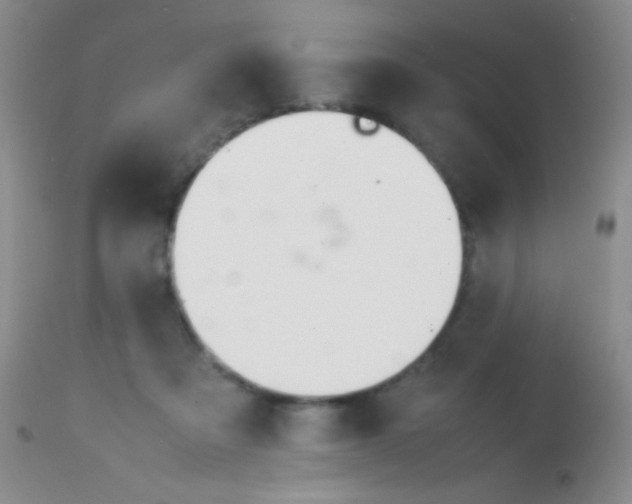 X0000113870313200910151307