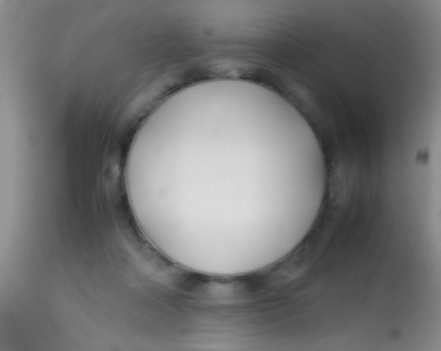 X0000113870314200910151307