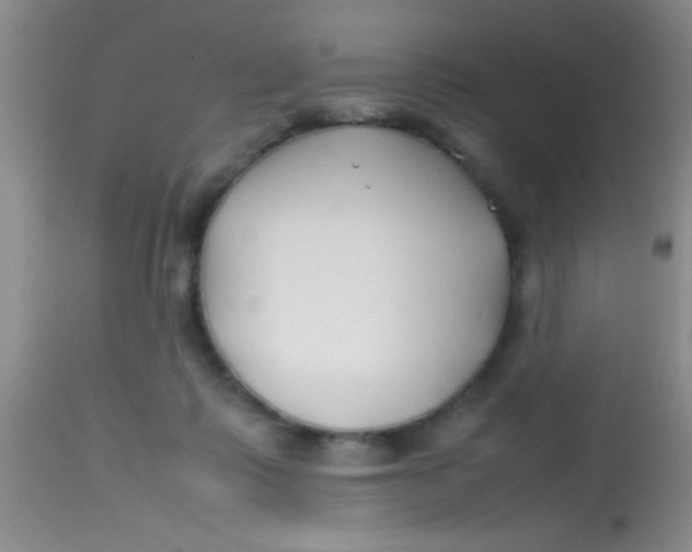 X0000113870315200910151307