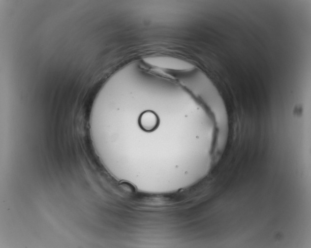 X0000113870316200910151307