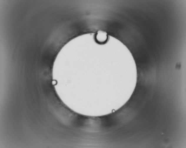 X0000113870317200910151307