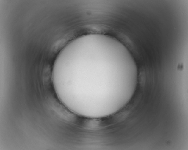 X0000113870318200910151307