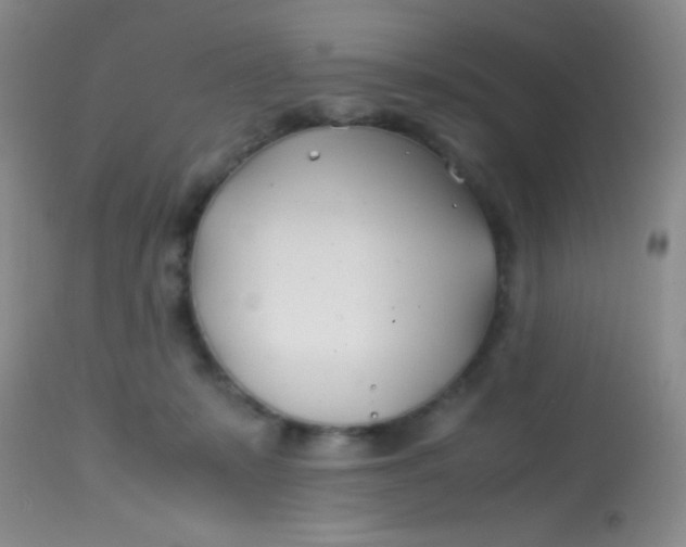 X0000113870319200910151307