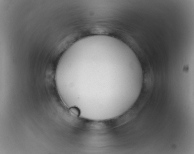 X0000113870322200910151307