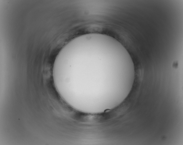 X0000113870323200910151307