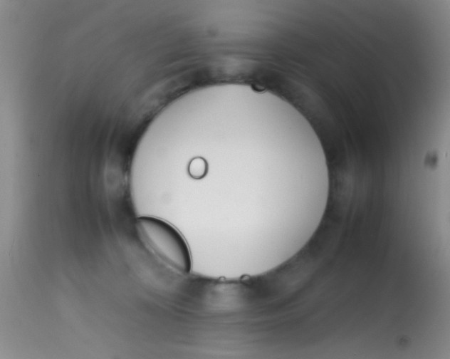 X0000113870324200910151307