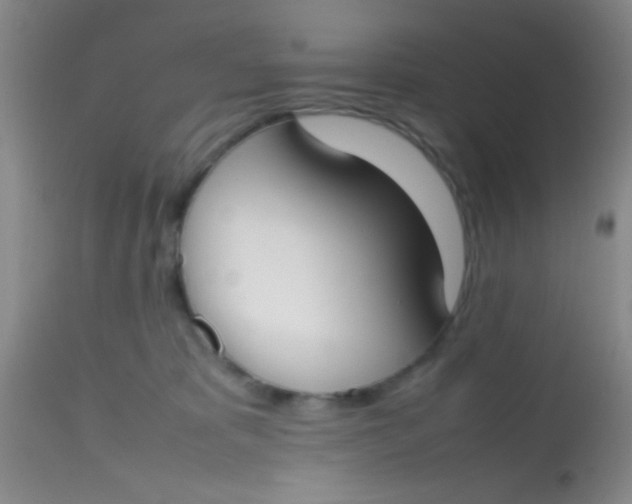 X0000113870325200910151307