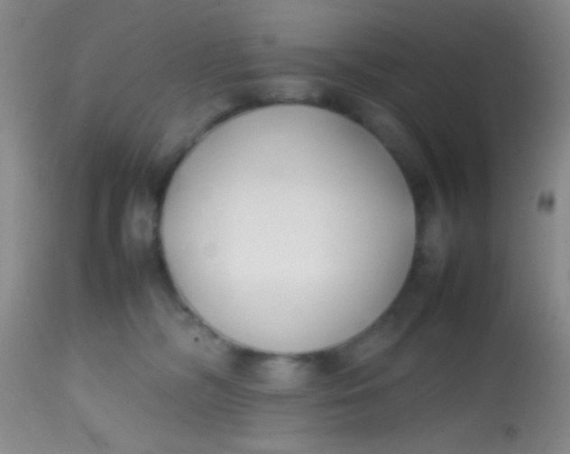 X0000113870326200910151307