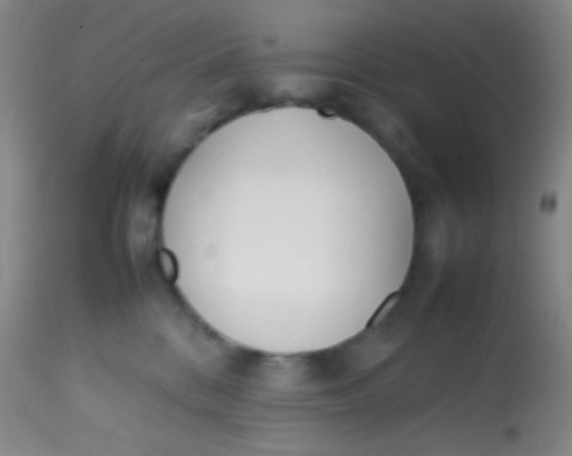 X0000113870328200910151307