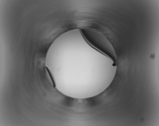 X0000113870329200910151307