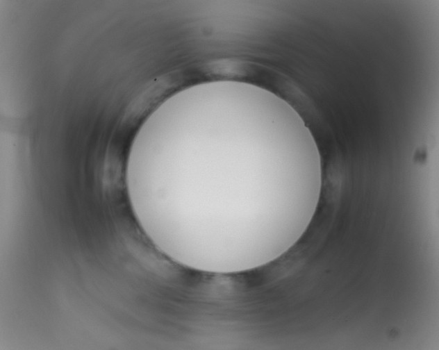 X0000113870330200910151307