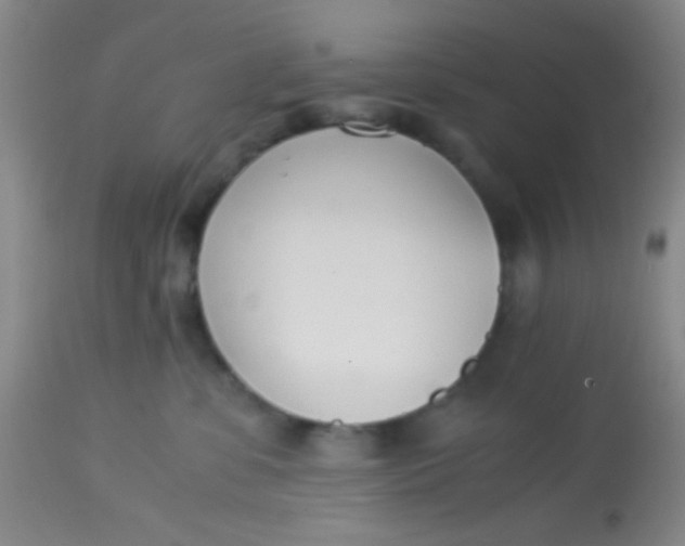 X0000113870331200910151307