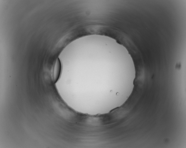 X0000113870332200910151307